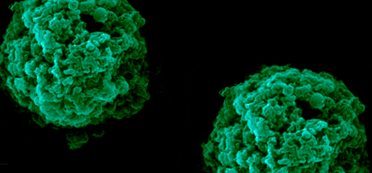 Amorphous Solid Dispersions Spray Drying | Hovione