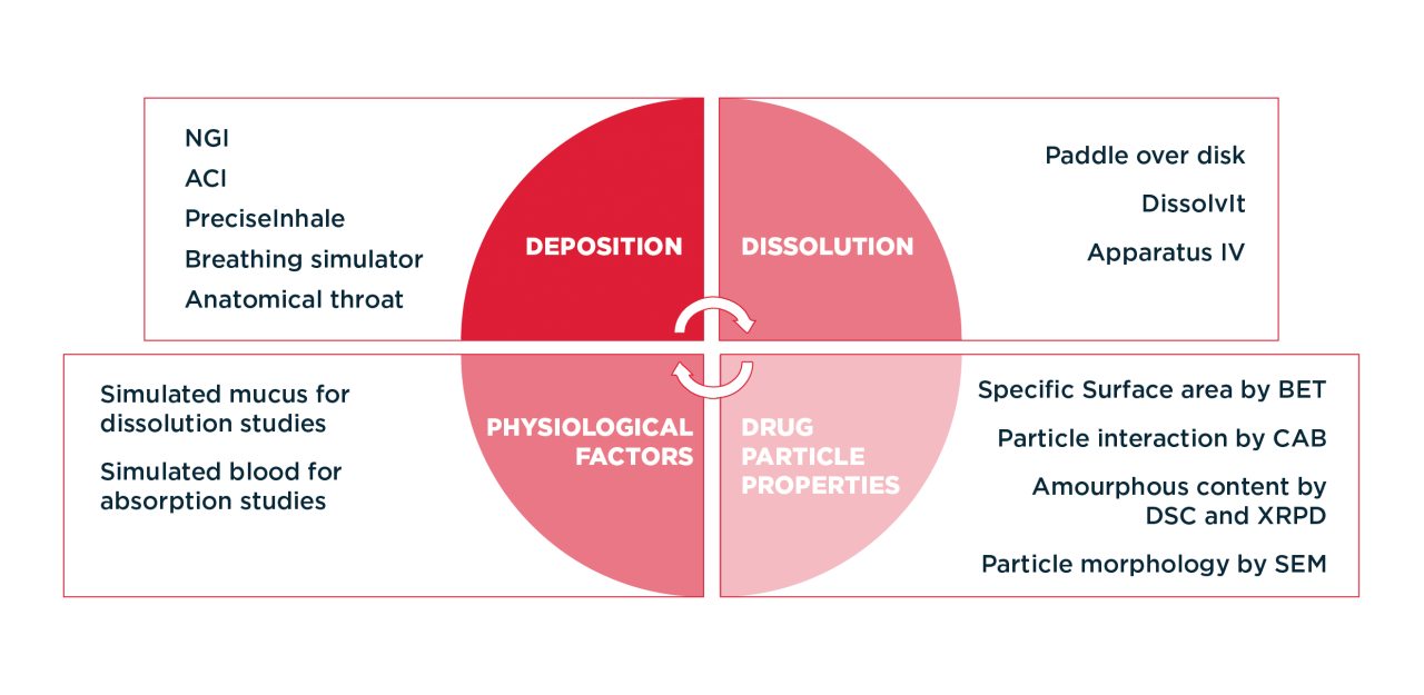 Biorelevant Characterization Inhalation Products Dissolution | Hovione