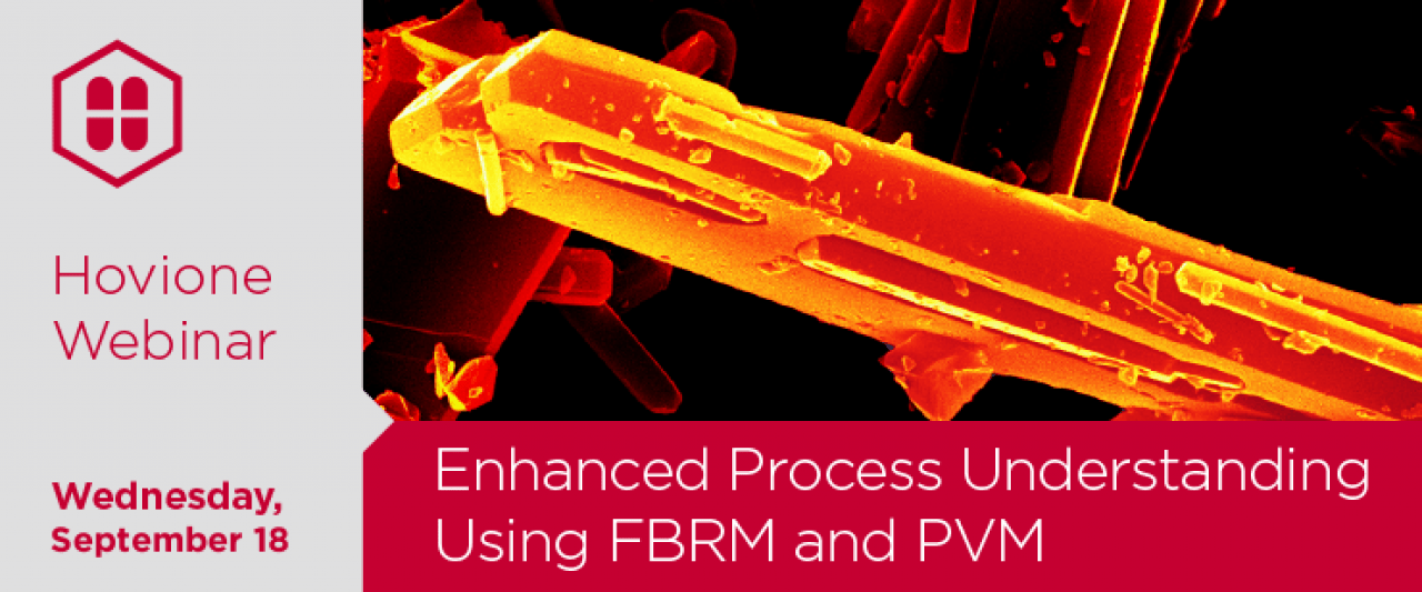 Process Development Active Pharmaceutical Ingredients PAT FBRM | Hovione