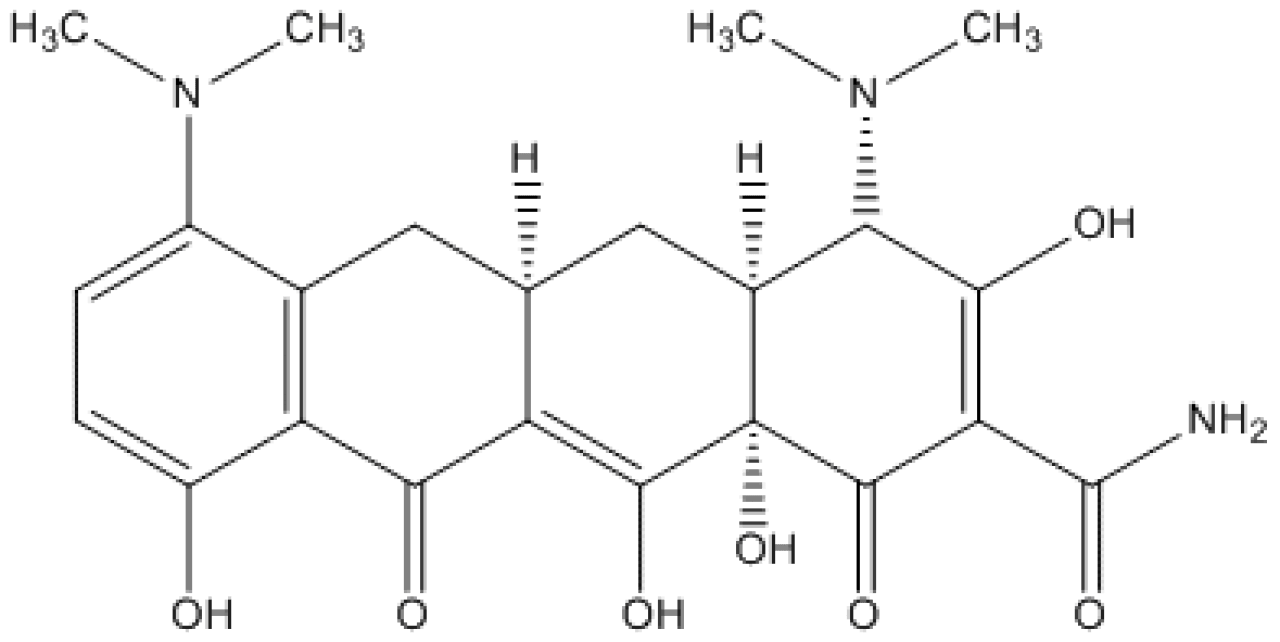 Minocycline base | Hovione